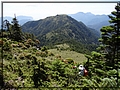 2012-07-12 10-10-59前面山頭就是馬比杉山.JPG